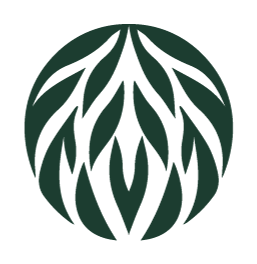Willow mark
