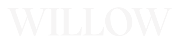 Willow wordmark, reversed
